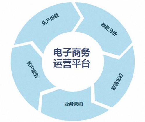 专业性电子商务咨询