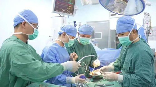 重症肺炎被AI误诊成感冒？假的