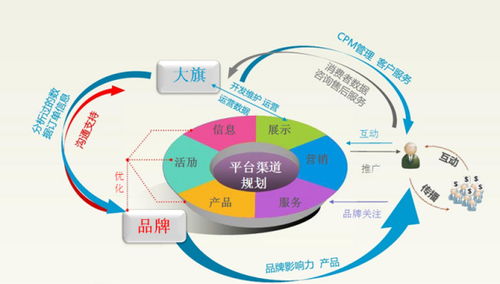 电子商务专业具体干嘛的