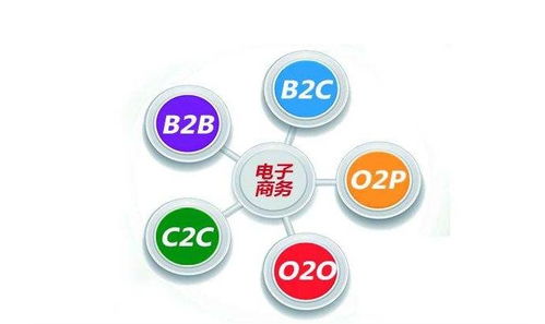 电子商务专业可以转学么