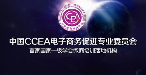中国最好的电子商务专业