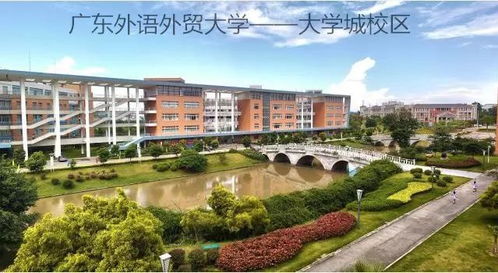 电子商务专业广西大学