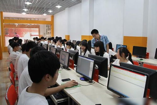 大专电子商务是什么专业