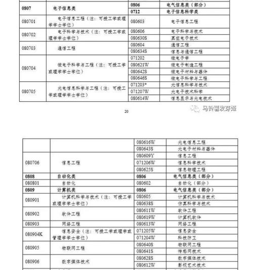 电子商务专业能考公吗
