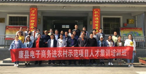 金山区专业电子商务公司