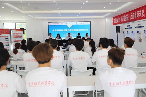 什么是城市电子商务专业