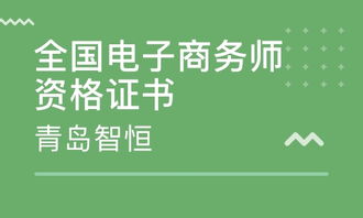 电子商务师包括什么专业